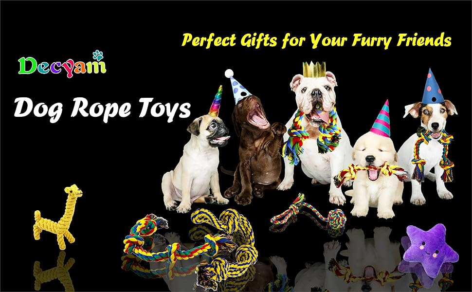 small dog chew toys