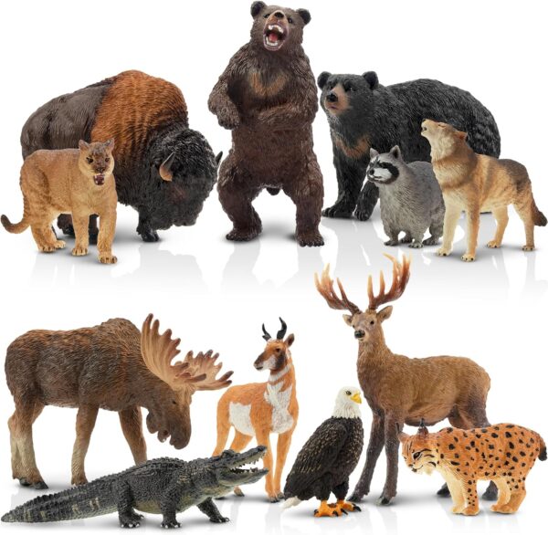 toymany 12PCS North American Forest Animal Figurines, Realistic Jungle Animal Set Includes Raccoon,Lynx,Wolf,Bear,Eagle, Educational Toy Cake Toppers Christmas Birthday Gift for Kids Toddlers