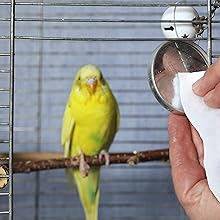 bird cage, petall, clean, bird, pet, wipes