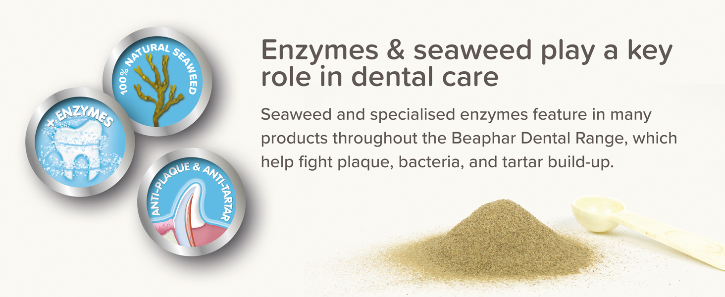 Enzymes & Seaweed