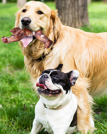 indestructible dog toys for large dogs