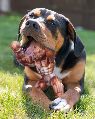 dog toys for aggressive chewers large breed