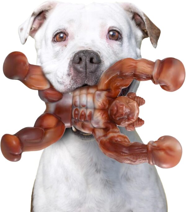 Zinbo Dog Toys for Aggressive Chewers, Indestructible Dog Toys, Toughest Nylon Dog Chew Toy with Real Bacon Flavor, Fun to Chew, Dog Bone Toys for Medium/Large Breed Dogs