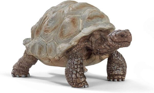 schleich Wild Life 14824 Realistic Exotic Galapagos Giant Tortoise Figurine - Wild Animal Giant Tortoise Toy for Wildlife Play and Imagination - Animal Toys Gift for Boys, Girls, Kids Ages 3+