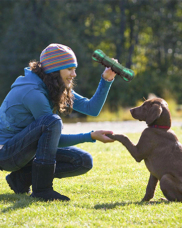 Dog Chew Toys