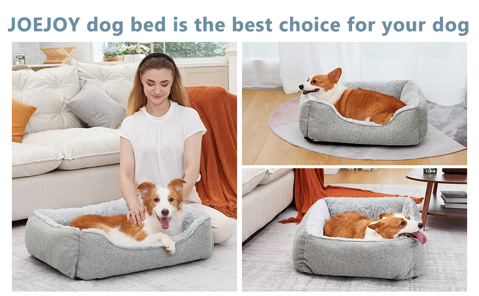 dog bed washable cleanance