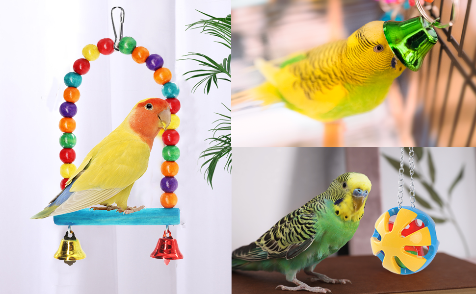 Bird Cage Toys