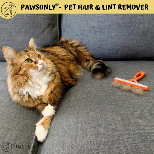 PawsOnlyUK Pet Hair Remover for Carpet Sofa Car Furniture Stairs Pet Bed Rugs | Carpet Scraper Tool | Reusable Lint Remover | Portable Carpet Brush | Easy to Clean Cat Dog Hair Fur (Orange) - Image 2