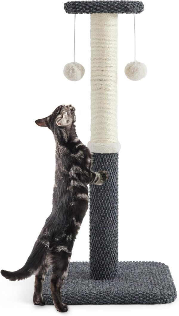 Lesure Cat Scratching Post for Indoor Cats - 74cm Highly Resistant Carpet Scratch Poles, Premium Sisal Rope Scratch Posts Tall with Hanging Ball for Kitten and Adult Cats, Grey