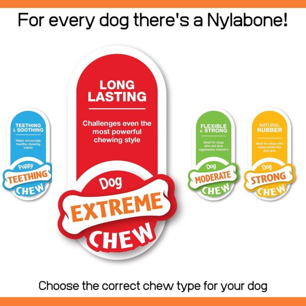 Nylabone Extreme Tough Dog Chew Toy Bone, Durable, Cleans Teeth, Beef & Cheese, Medium, for Dogs Up to 16 kg - Image 6