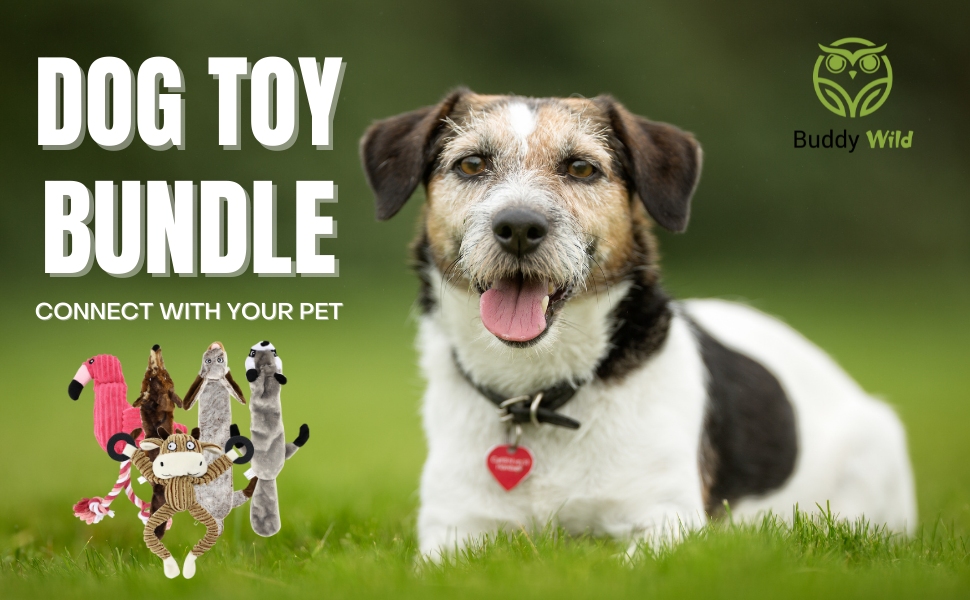 plush dog toy bundle image