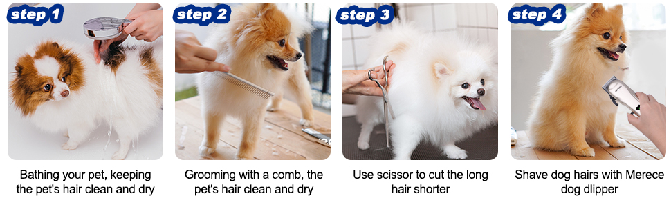 Dog Grooming Kit