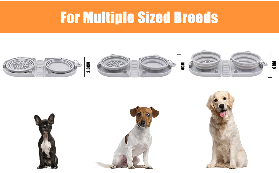 collapsible dog bowl