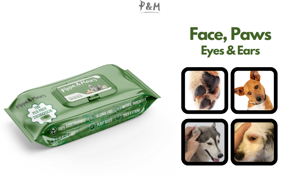 Pet Wipes