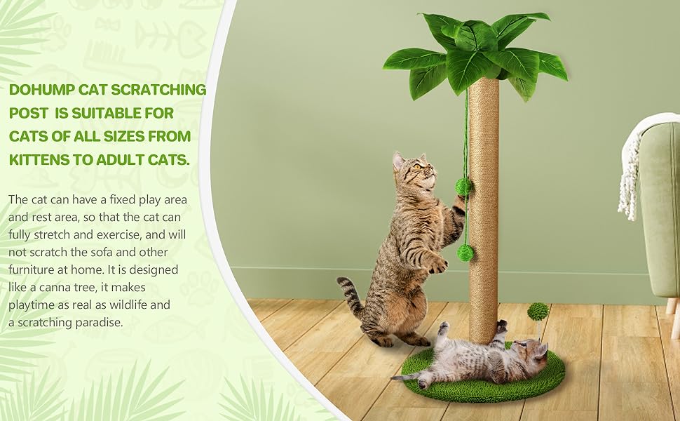 It’s suitable for cats of all sizes from kittens to adult cats.Pets can have a fixed play&rest area.