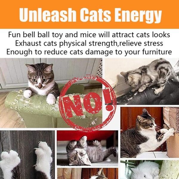 22 Pcs Cat Toys Interactive for Indoor Cats Tunnel Mouse Kitten Toys Cat Feather Teaser Wand Spring Toy - Image 3