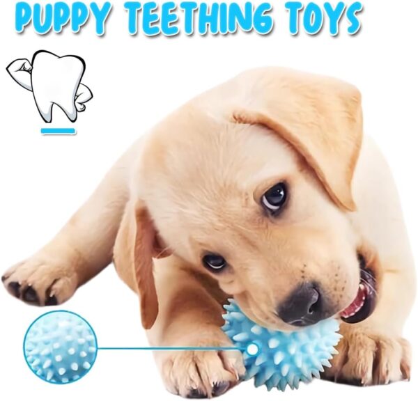 6Pcs Dog Toys for Small Dogs, Puppy Teething Toys From 8 Weeks, Puppy Chew Toys, Plush Dog Toys Set for Small Medium Dogs - Image 4