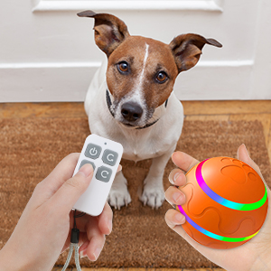 interactive dog toy