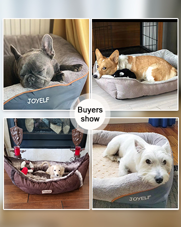 pet bed