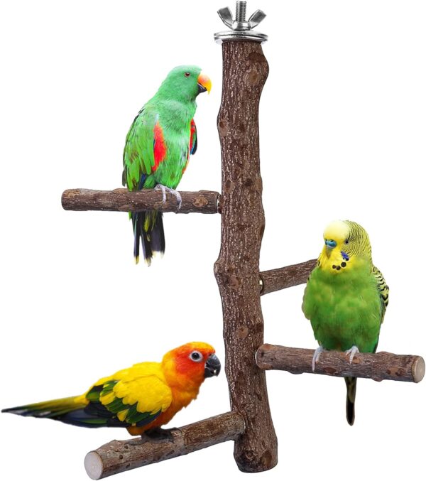 Filhome Bird Perch Stand Toy, Natural Wood Parrot Perch Bird Cage Branch Perch Accessories for Parakeets Cockatiels Conures Macaws Finches Love Birds (M: 10" Length)