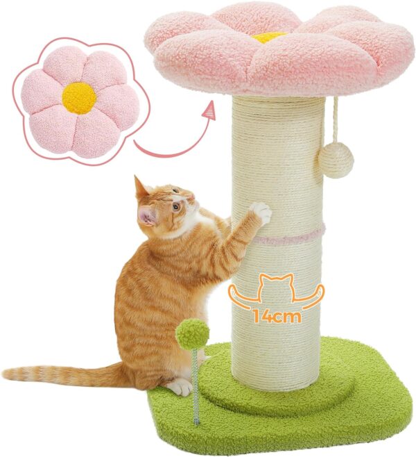 PAWZ Road Flower Cat Scratching Post, Small Cat Tree, Tall Cat Scratcher for Indoor Cats with Super Thick Scratching Post [Dia=14cm], Removable Flower Cat Bed, Cat Scratch Post with Spring Ball, Pink