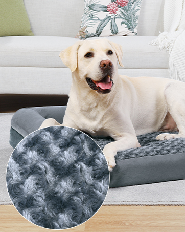 Orthopedic Dog Beds