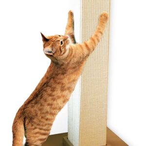 Smart Cat The Ultimate Scratching Post