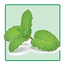 Spearmint Ingredient