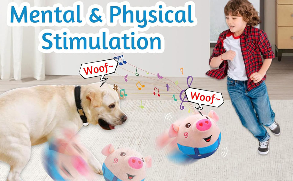 dog interactive toy