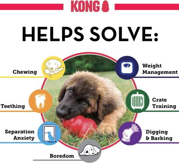 KONG - Classic Dog Toy - Durable Natural Rubber - Fun to Chew, Chase and Fetch - For Medium Dogs - Image 5