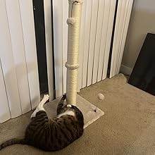 large scratching post for indoor cats