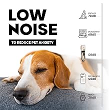 Low Noise To Reduce Pet Anxiety