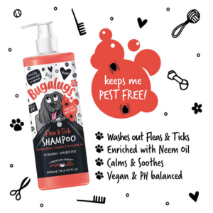 Dog Shampoo For Flea & Ticks