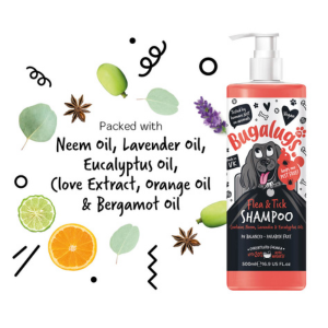 Neem Oil, Lavender and Eucalyptus Flea Shampoo