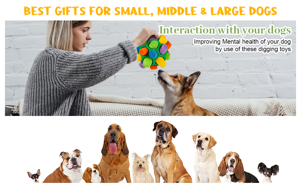  Interactive Dog Puzzle Toys