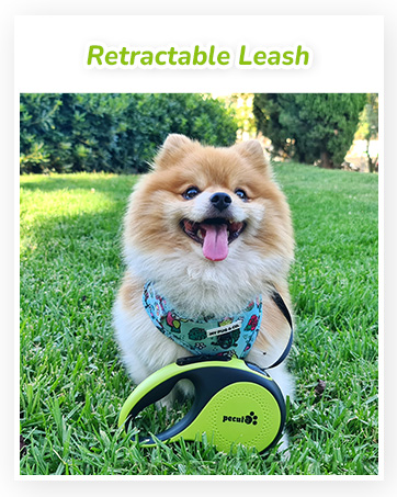 retractable dog leash