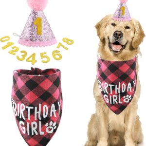 Cobee Dog Birthday Bandana Hat Number Set, 10 Pieces Dog Girl Birthday Party Supplies Pet Bandana Party Bling Hat with 8 Glitter Number for Small Medium Large Dogs