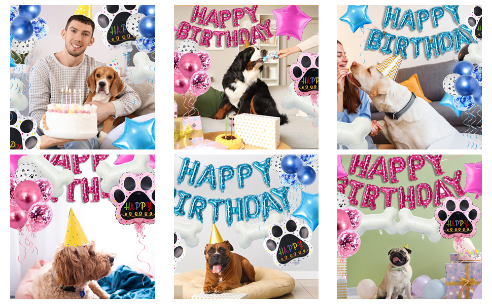 The best birthday gift for your dog