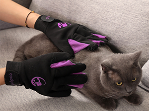 pet gloves