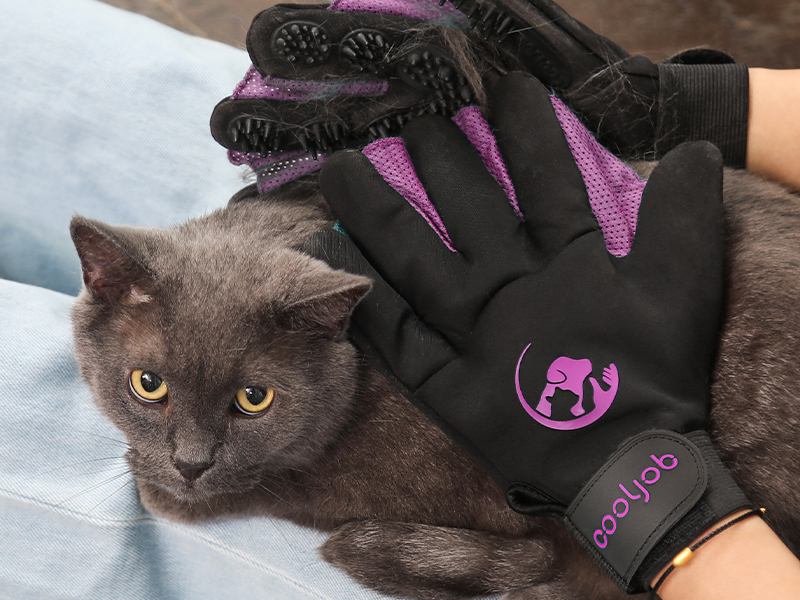 pet grooming gloves