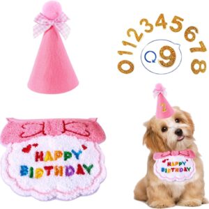 Dog Birthday Party Supplies,1Set Dog Birthday Hat and Bandana with Numbers,Cute Embroidered Dog Bib Bow Pompom Party Hat Set Puppy Dog Birthday Outfit for Pet Cats Small Medium Dogs (Pink)