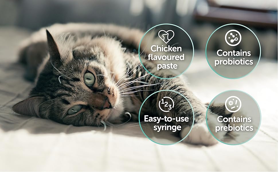 Pro-Kolin Advanced Probiotics Syringe for Cats