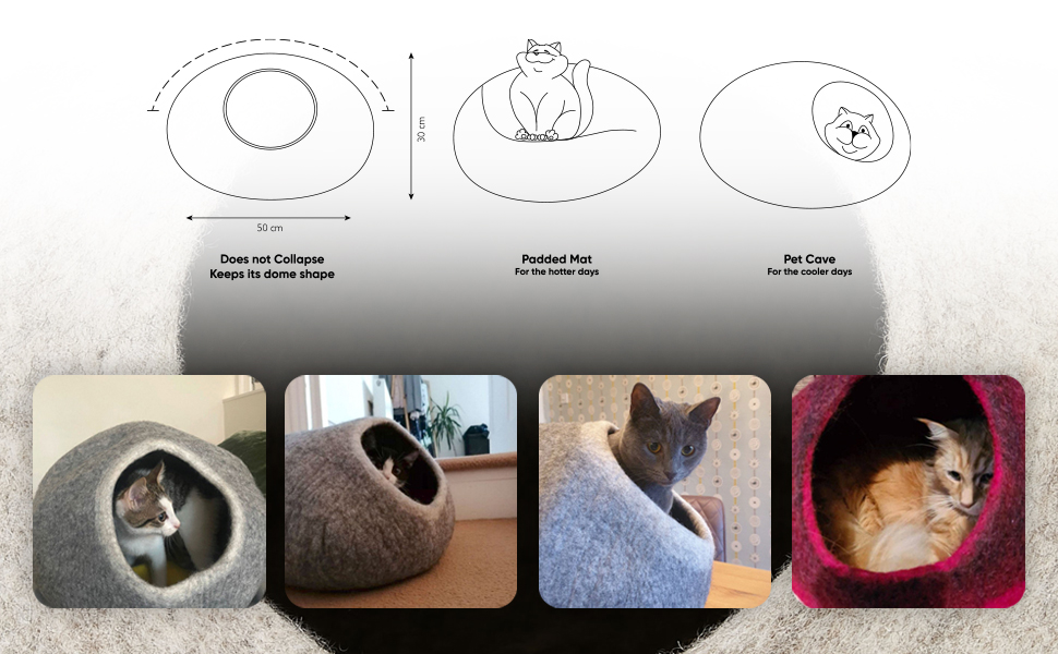 measurement of cat cave