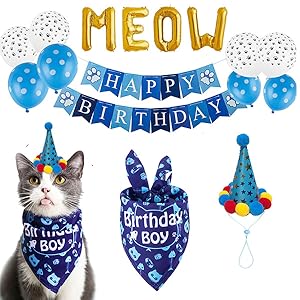 cat birthday bandana