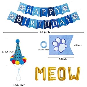 cat birthday