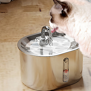 cat water fountain