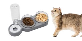 cat water bowl