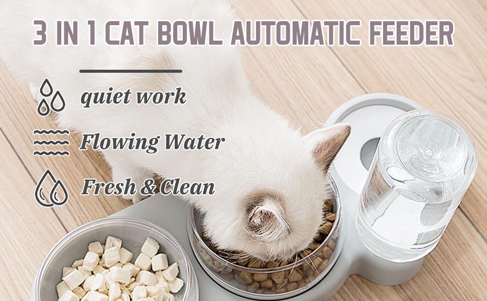 Cat Bowls