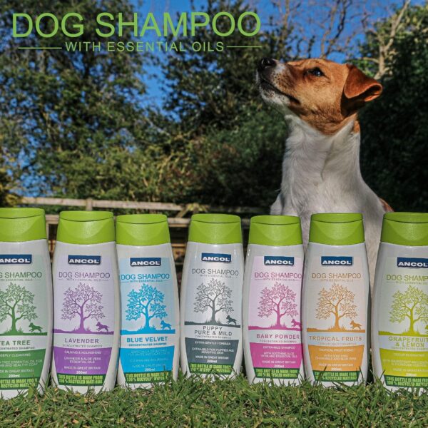 Ancol Lavender Dog Shampoo 200 ml (Pack of 1) - Image 5