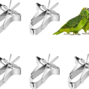 5 PCS Bird Fruit Feeder Cuttlefish Clip Bird Vegetable Holder Clip Stainless Steel Bird Feeder Bird Foraging Toy Cage Accessories For Bird Hamster Cockatiel Parrot Small Animals